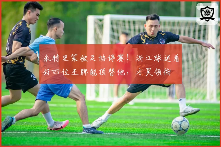 米特里策被足协停赛!浙江球迷看好四位王牌能顶替他,方昊领衔