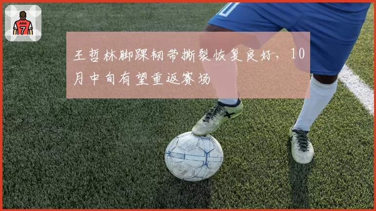 王哲林脚踝韧带撕裂恢复良好，10月中旬有望重返赛场